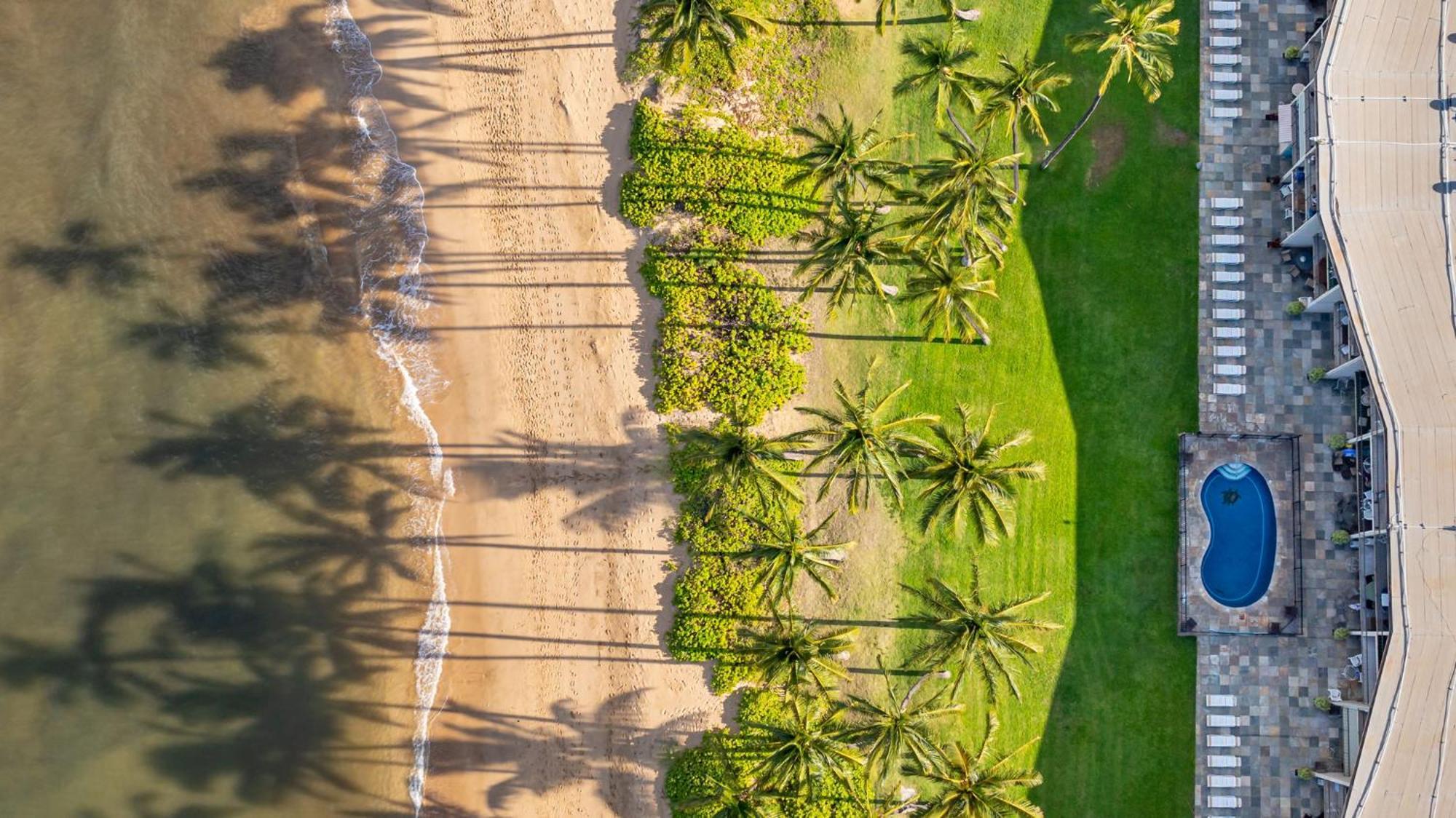Hale Kai O'Kihei 317 Exterior foto