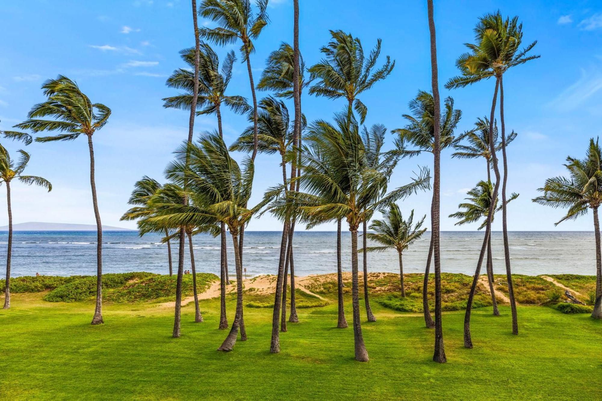 Hale Kai O'Kihei 317 Exterior foto